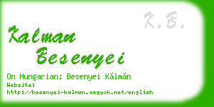 kalman besenyei business card